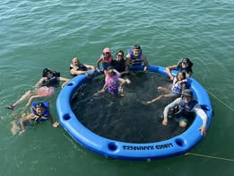 Liquid Hammock 8 Ft 🛟