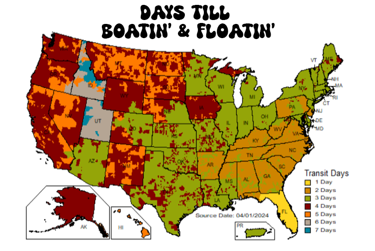 Liquid Hammock 10 Ft PLUS ➕