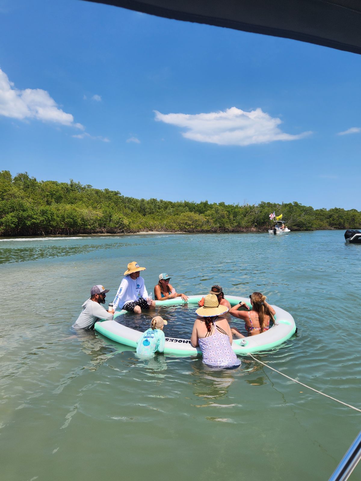 Liquid Hammock 8 Ft 🛟
